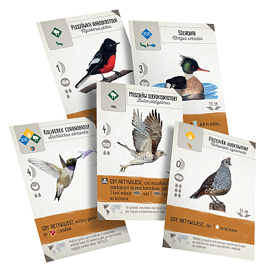 Okładka gry Na skrzydłach: Szybki start