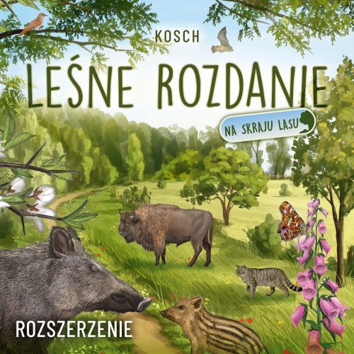 Okładka gry Leśne rozdanie: Na skraju lasu